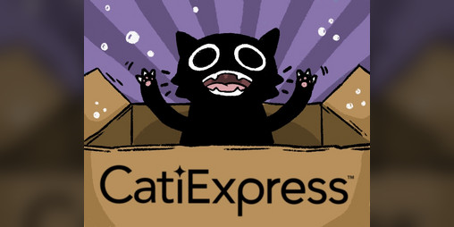 Cover image for Catiexpress