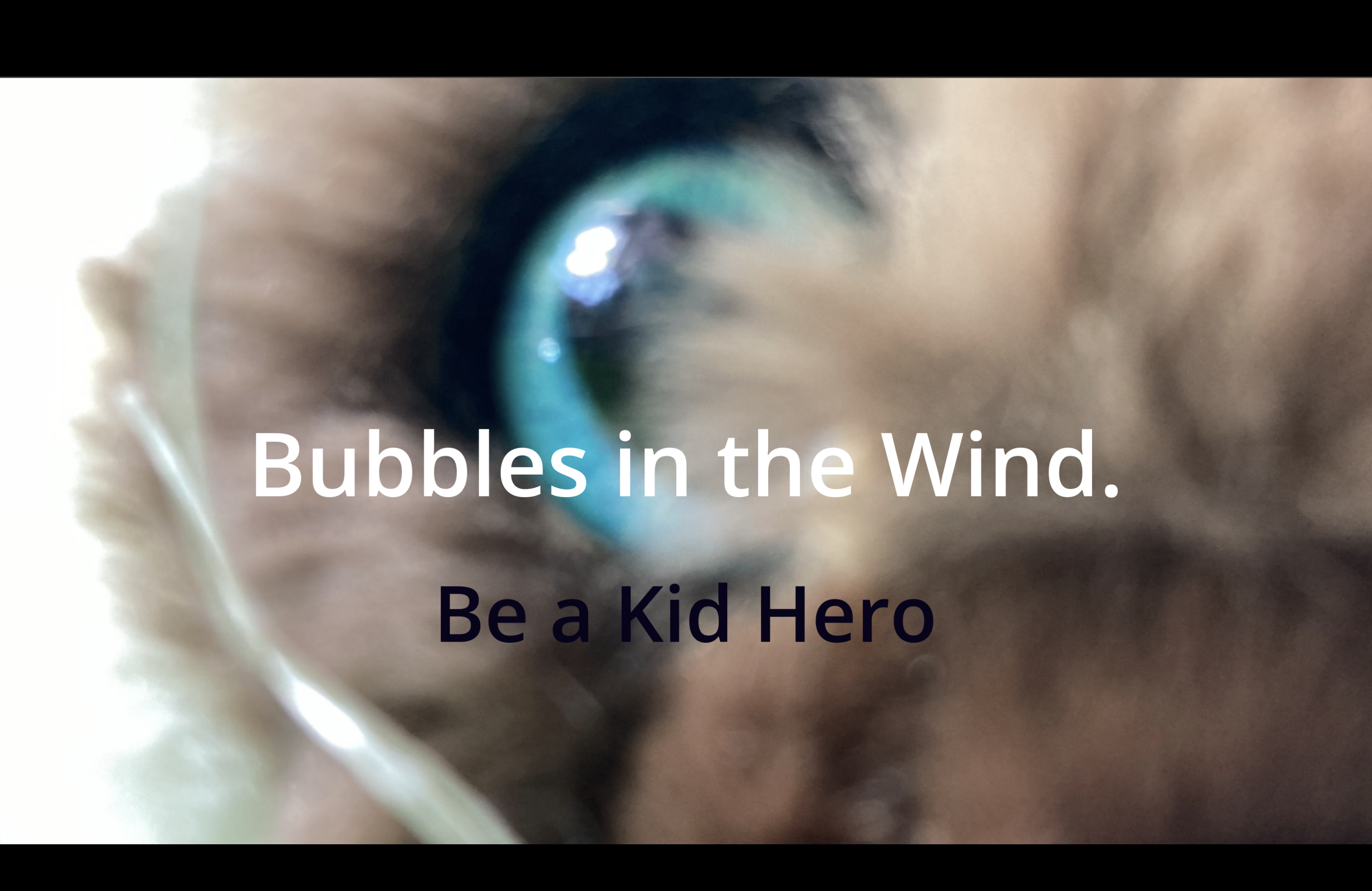 Bubbles in the Wind
