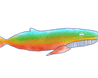 Colour Whale