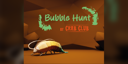 Cover image for Bubble Hunt
