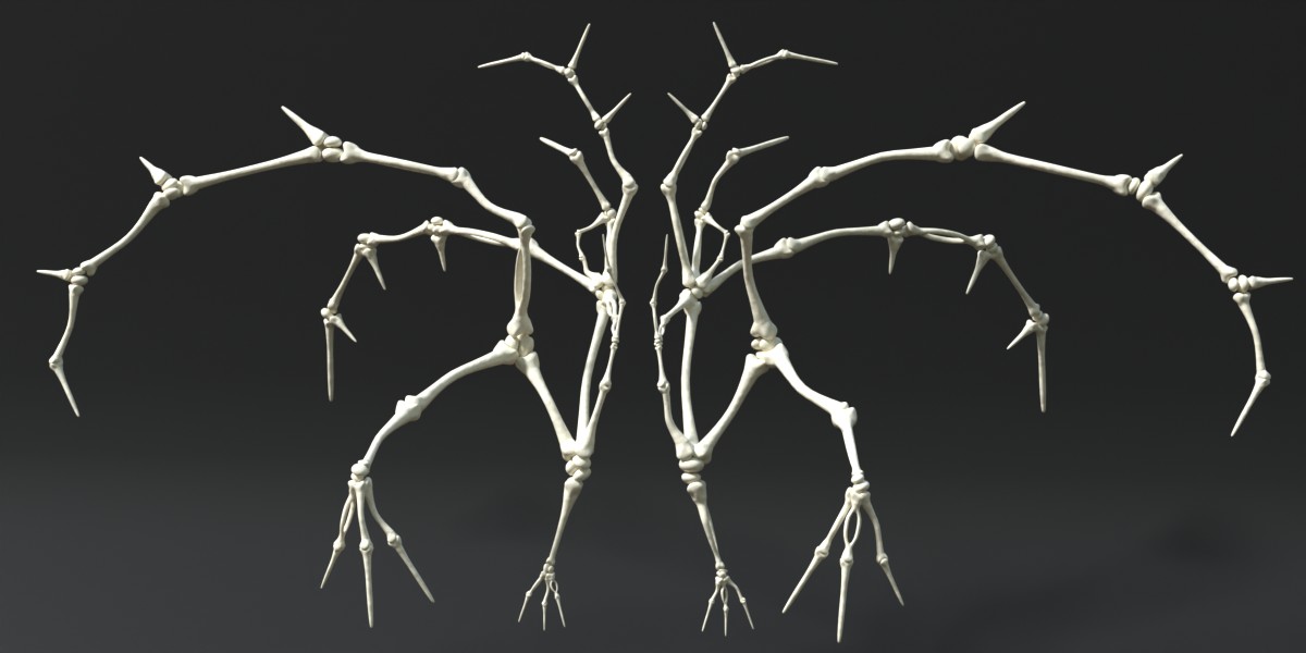 Bone Nodes