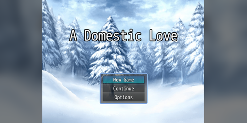 Cover image for A Domestic Love