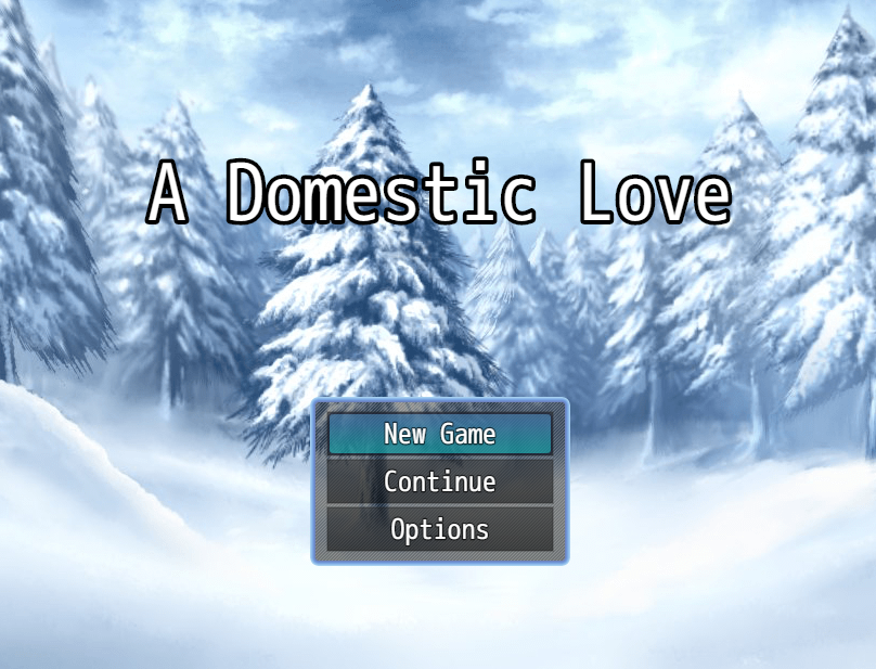 Cover image for A Domestic Love