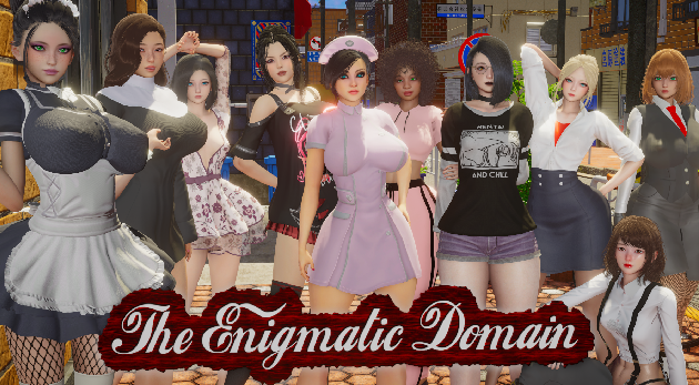 Cover image for The Enigmatic Domain