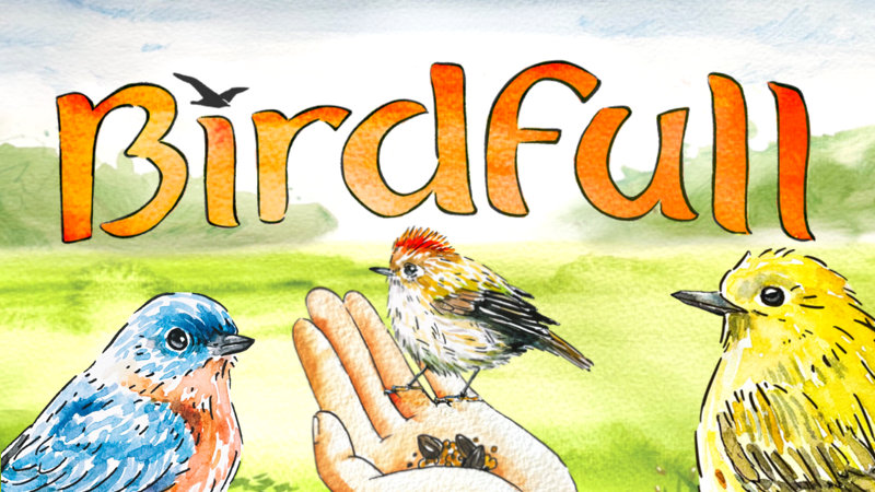 Cover image for Birdfull Demo