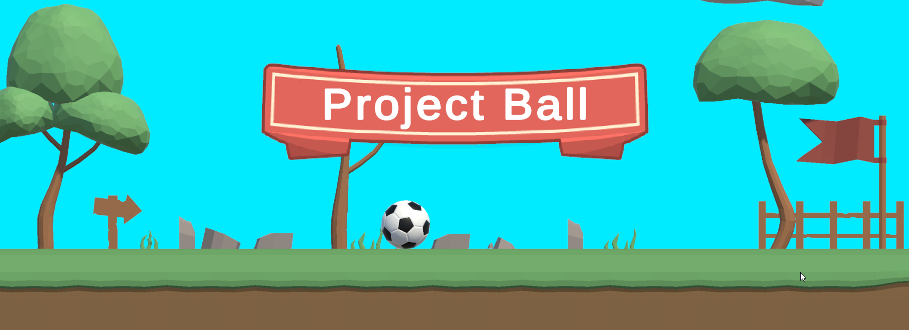 Project Ball