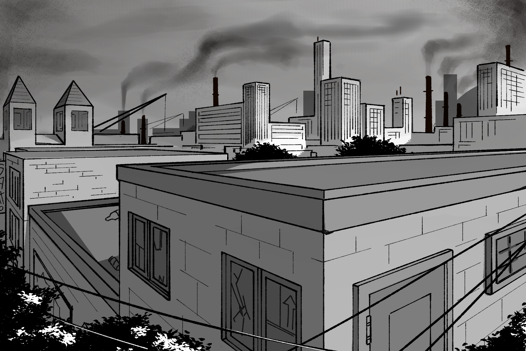Cover image for From The Ashes
