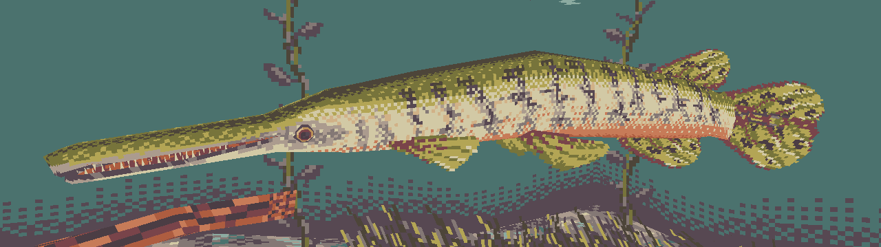 Alligator Gar