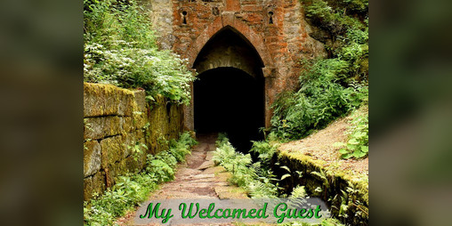 Cover image for My Welcomed Guest