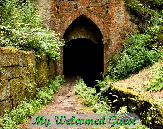 Cover image for My Welcomed Guest