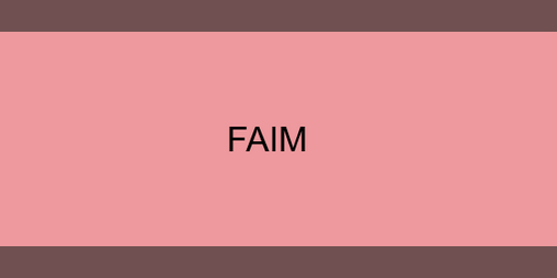 Cover image for FAIM