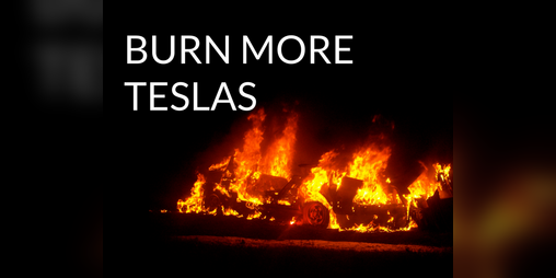 Cover image for BURN MORE TESLAS