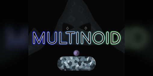 Cover image for Multinoid