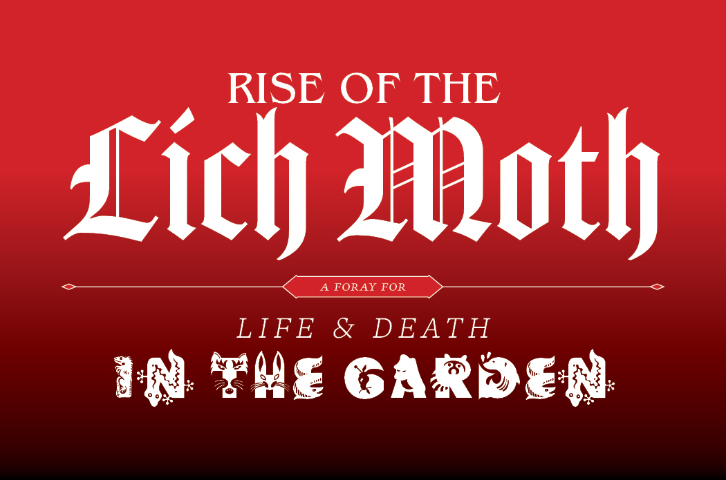 Rise of the Lich-Moth