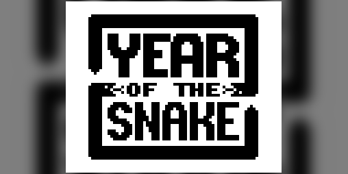 Cover image for Year of the Snake