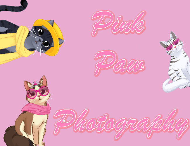 Cover image for Pink Paw Photography