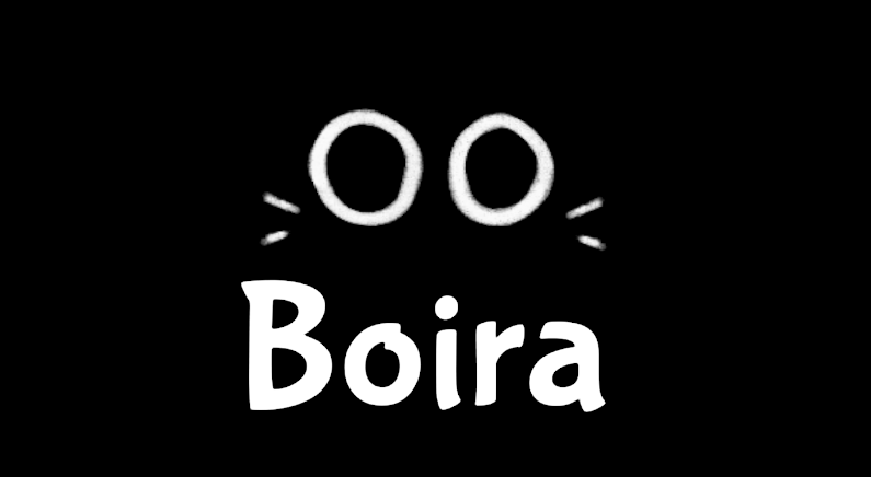 Cover image for Boira