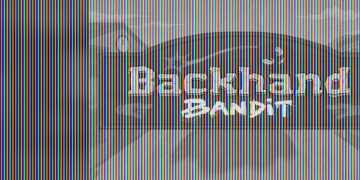 Cover image for Backhand Bandit