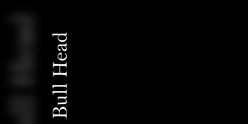 Cover image for Bull Head