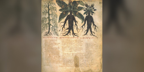 Cover image for The Monk and The Verdant (Dungeon World Playbooks)