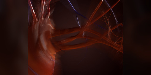 Cover image for Where The Heart Is