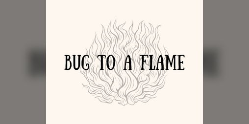 Cover image for Bug To a Flame