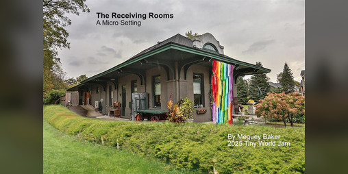 Cover image for The Receiving Rooms