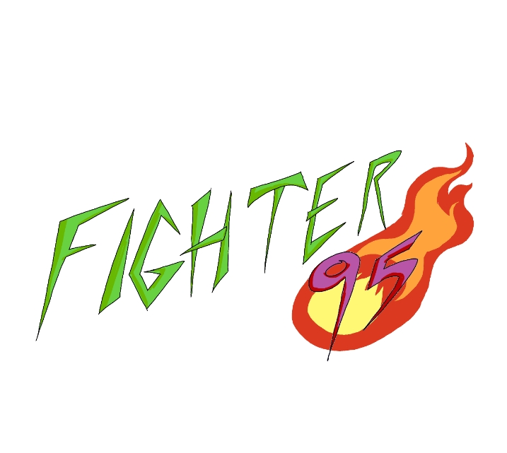 Cover image for Fighter 95