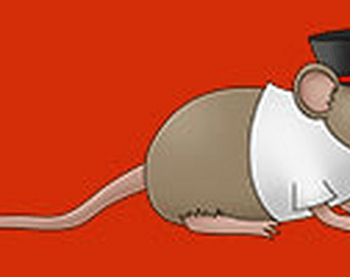 Mouse in the House