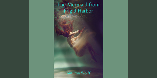 Cover image for The Mermaid from Frigid Harbor
