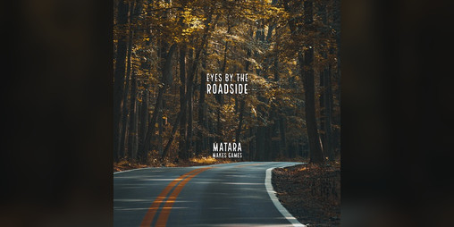 Cover image for Eyes by the Roadside