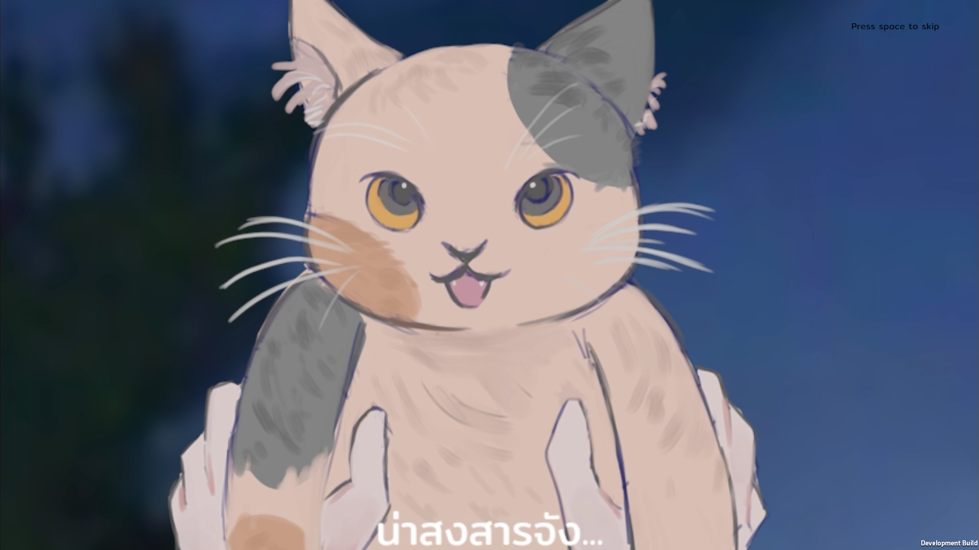Beware The Cat cover
