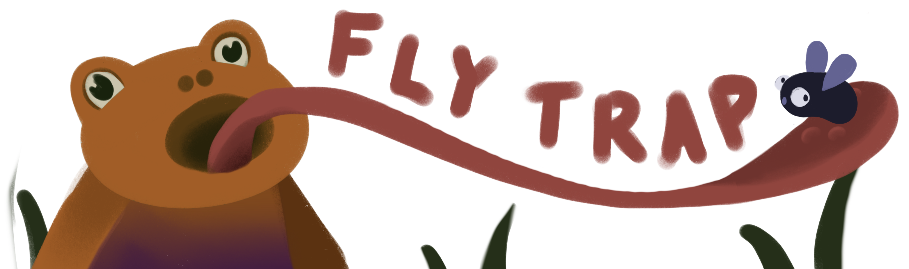 Fly Trap