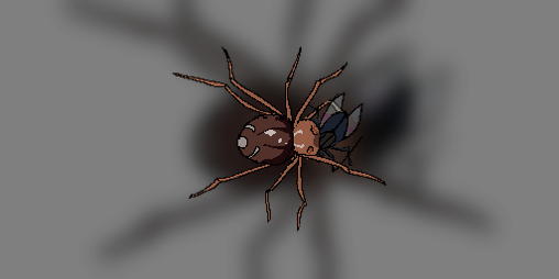 Cover image for Feed Spider Babies