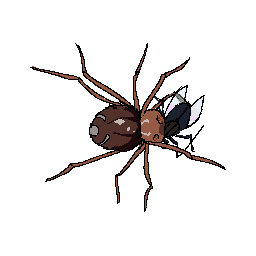 Cover image for Feed Spider Babies