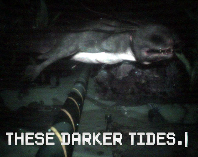 These Darker Tides cover