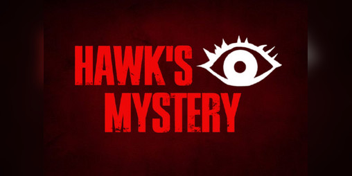 Cover image for Hawk's Eye Mystery