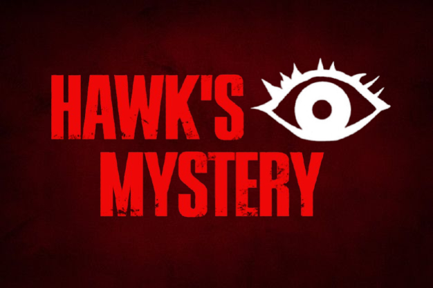 Cover image for Hawk's Eye Mystery