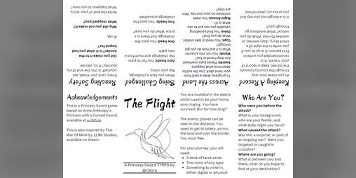 Cover image for The Flight