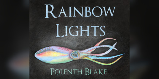Cover image for Rainbow Lights