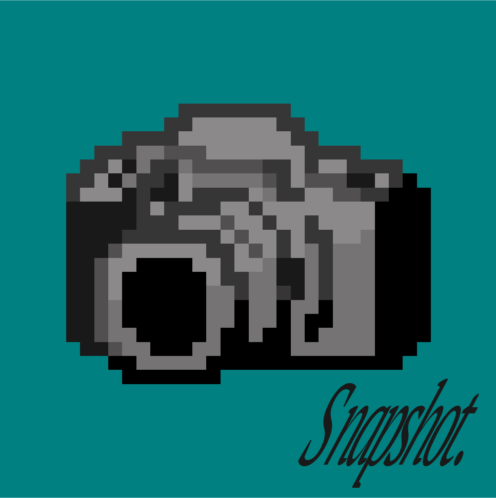 Cover image for Snapshot