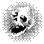 Cover image for Grave Umbra