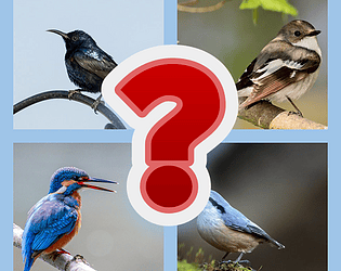 Ultimate Wise Trivia Quiz