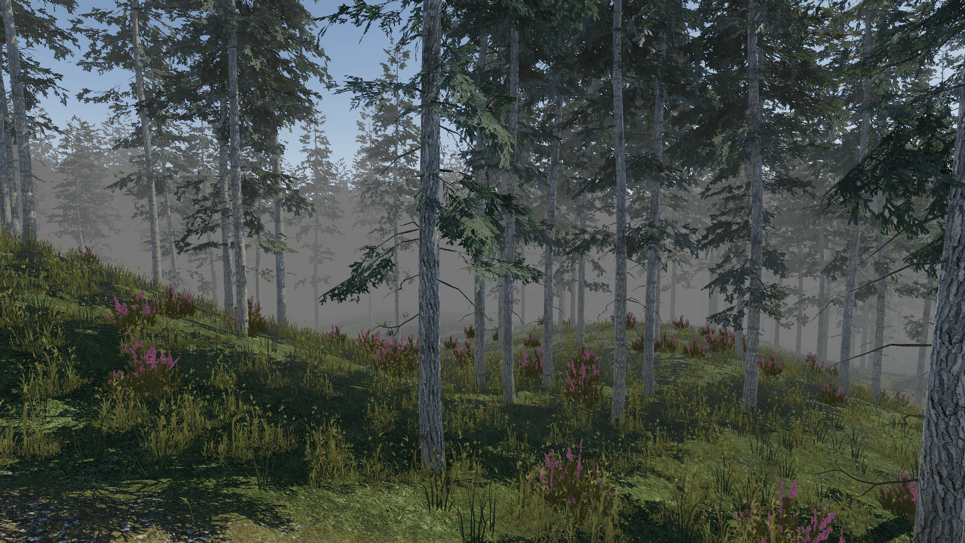 ForestWalk