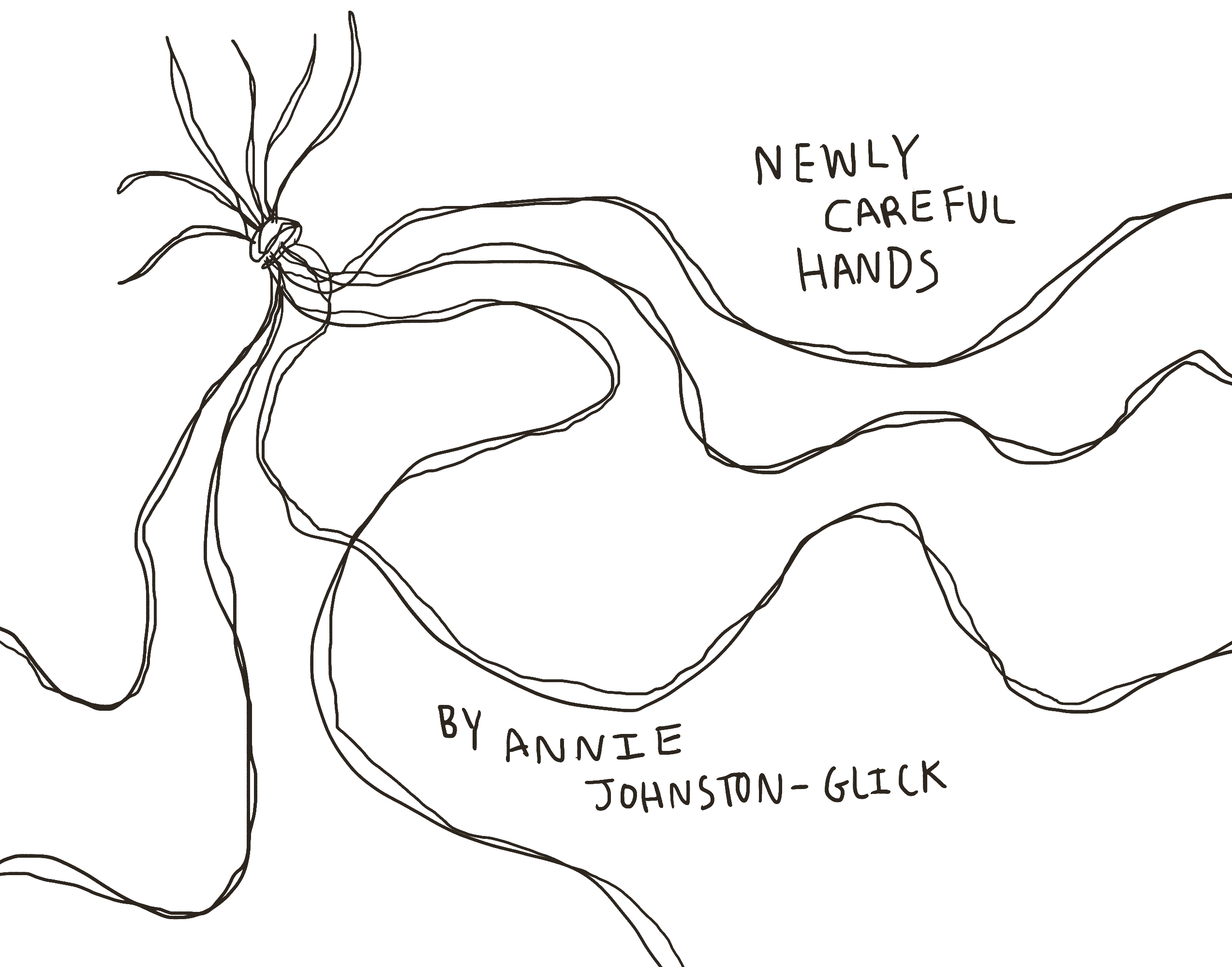 Cover image for Newly Careful Hands