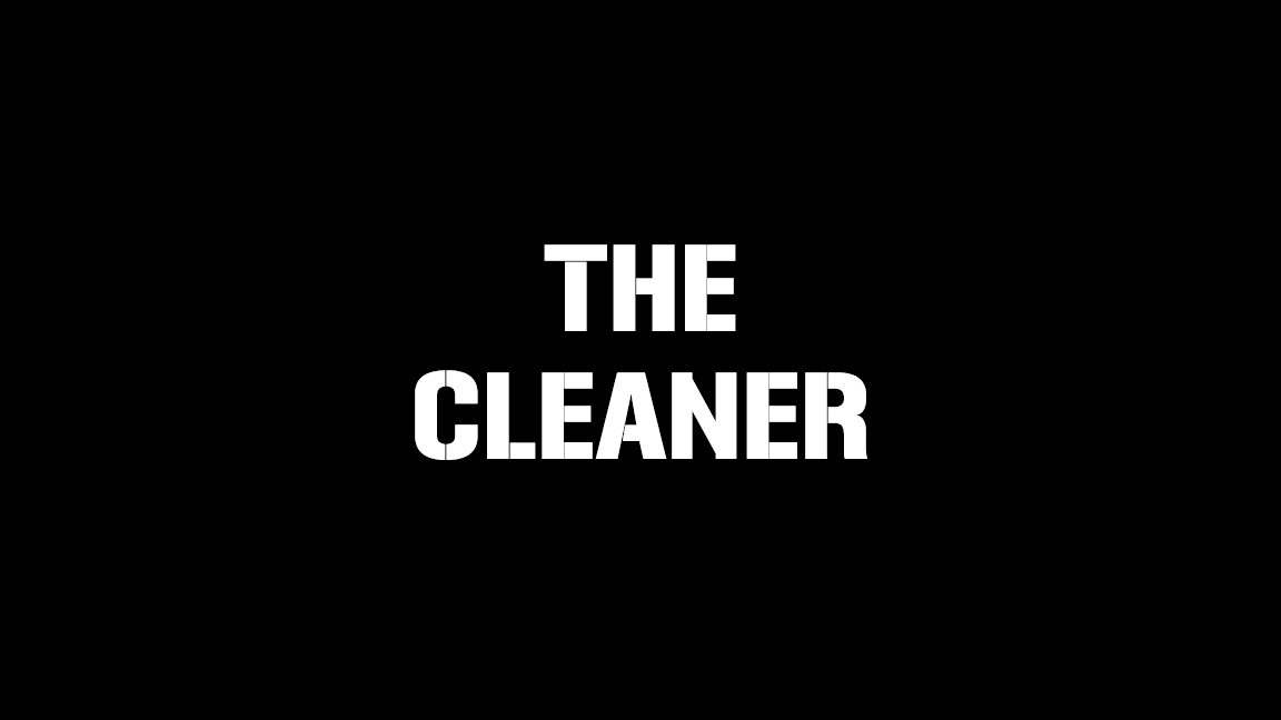 The Cleaner