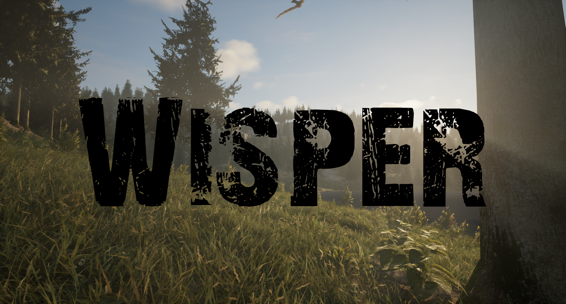 Wisper