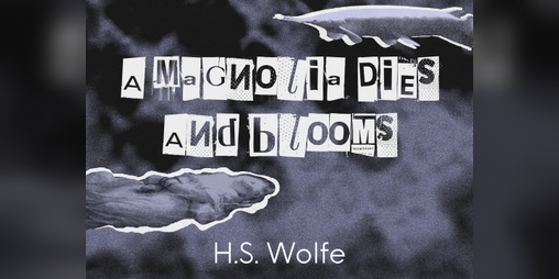 Cover image for A Magnolia Dies And Blooms