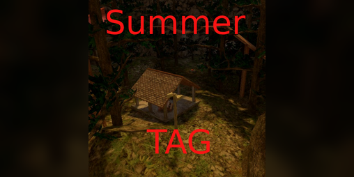 Cover image for Summer Tag