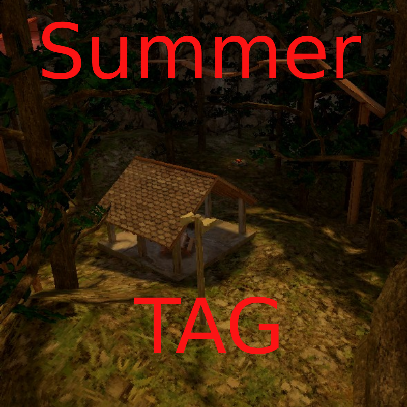 Cover image for Summer Tag